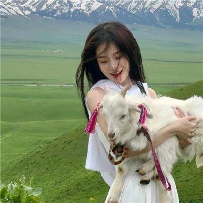 功夫无敌
